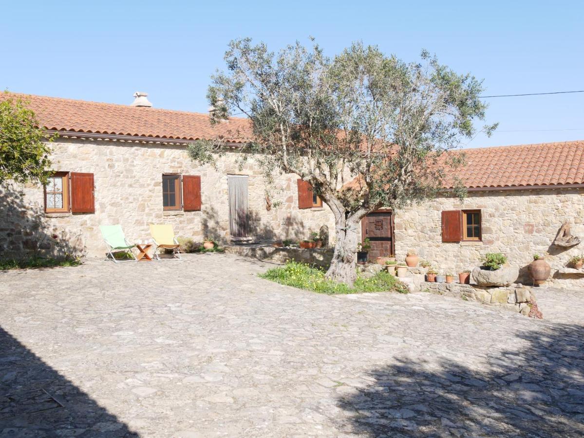 Pines Of Salgado Beachview Villa By Book Yourholiday Pt Ναζαρέ Εξωτερικό φωτογραφία