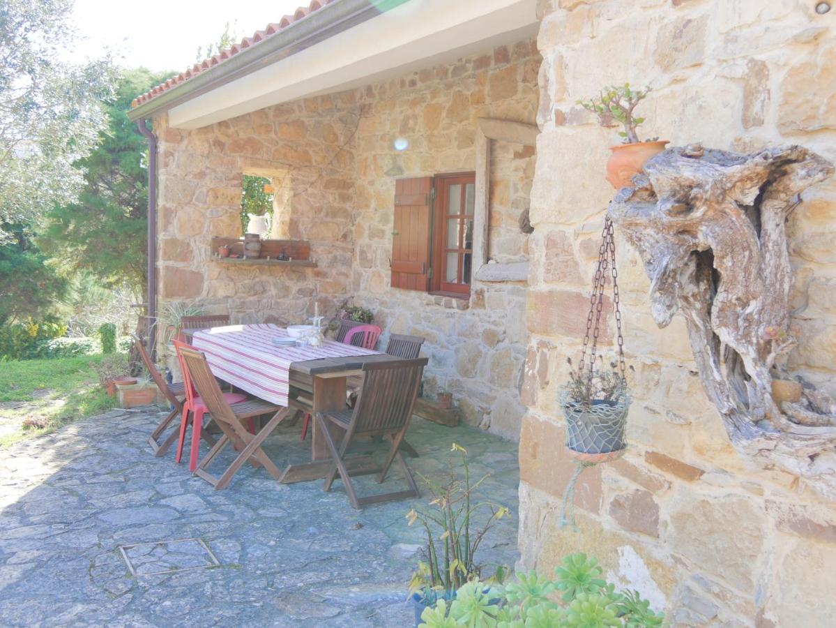Pines Of Salgado Beachview Villa By Book Yourholiday Pt Ναζαρέ Εξωτερικό φωτογραφία