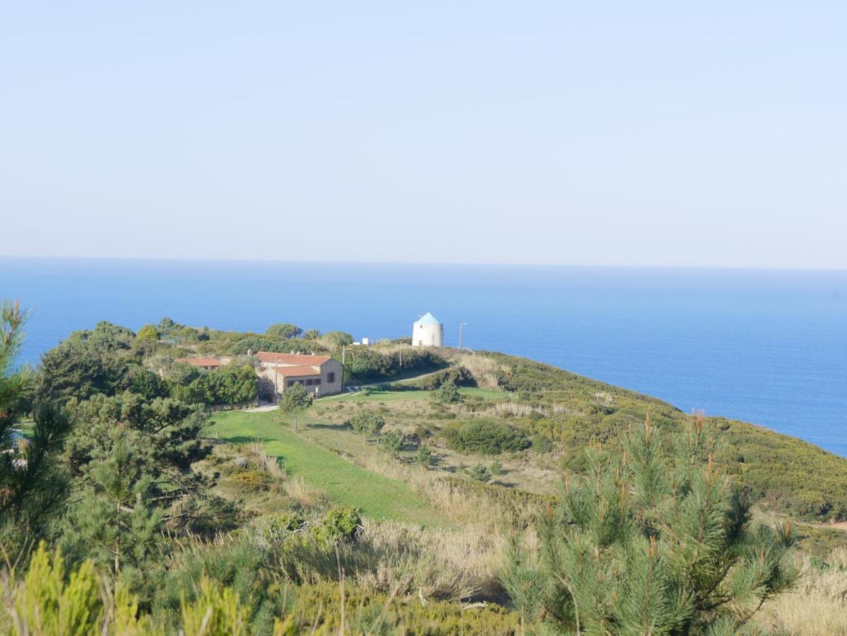 Pines Of Salgado Beachview Villa By Book Yourholiday Pt Ναζαρέ Εξωτερικό φωτογραφία